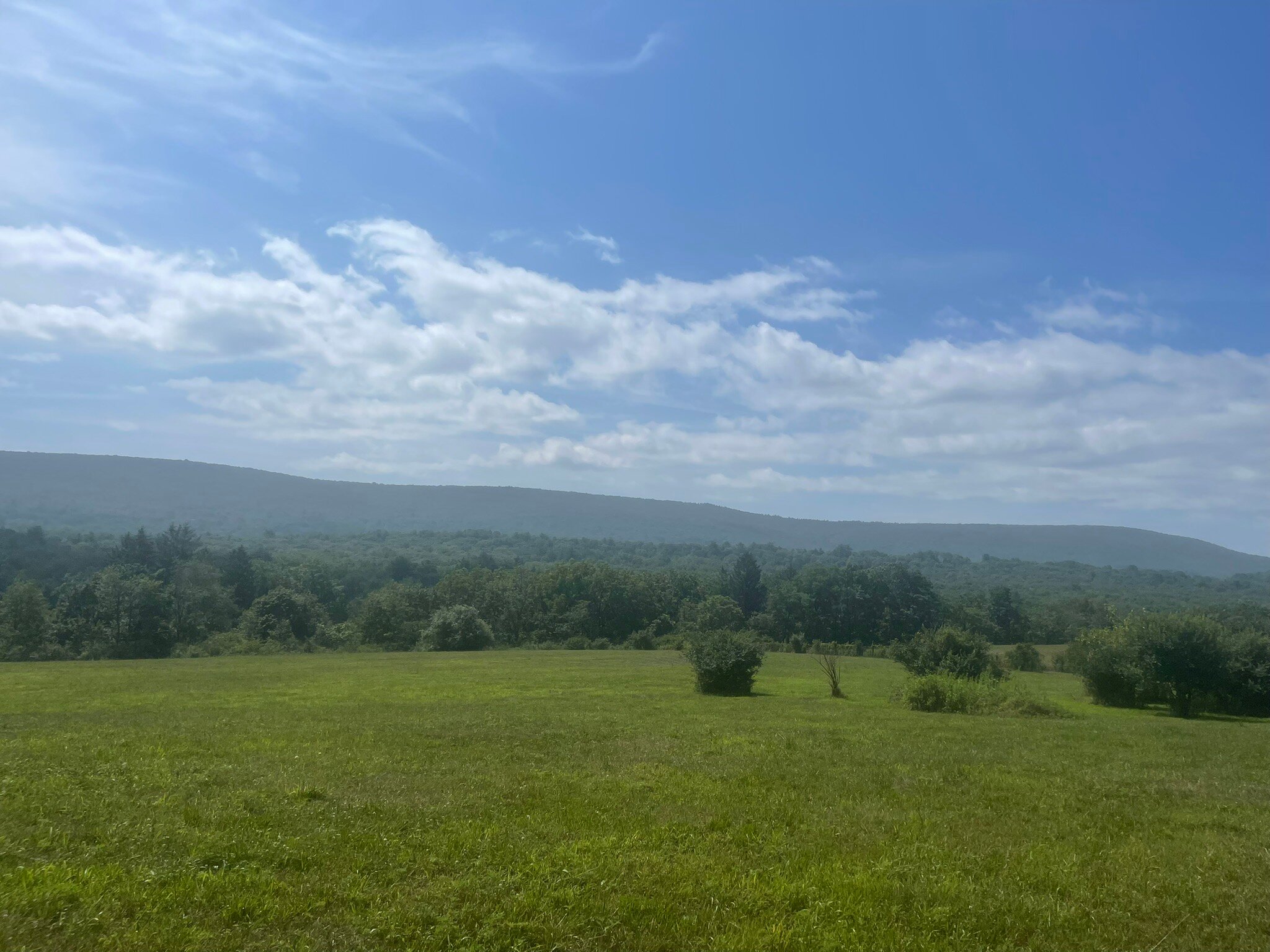 The Inn at Birch Wilds-官方