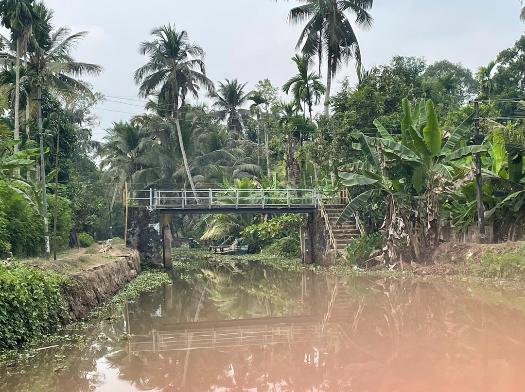 Fantastic Boat Cruise-Pallathuruthy必去景点