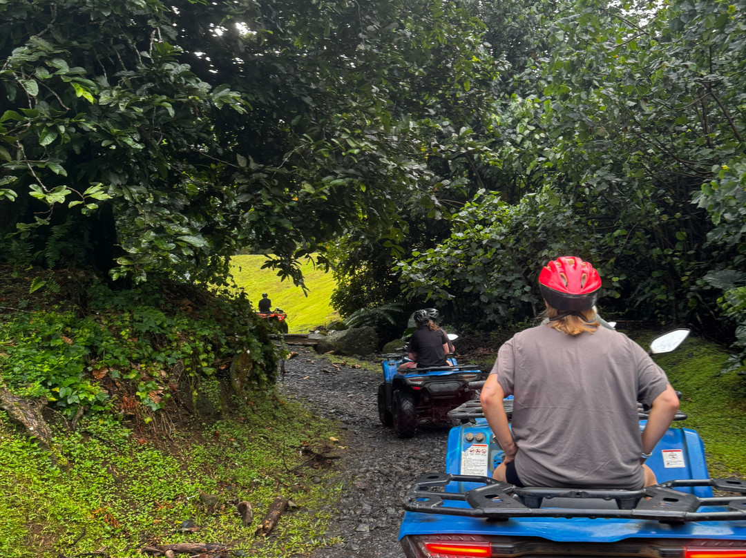 Coconut Tours-拉罗汤加必去景点