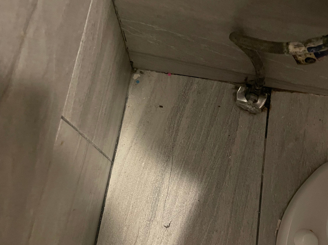 Best Western Plus Flint Airport Inn & Suites主图