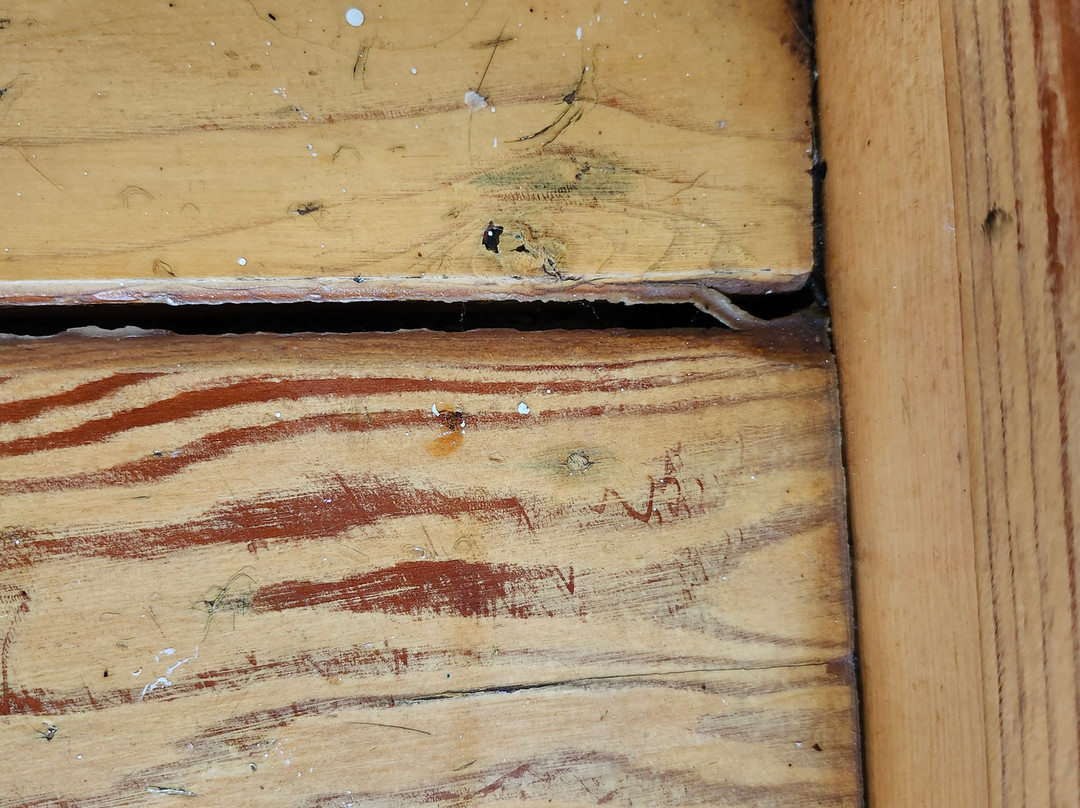 Laughing Lizard Inn主图