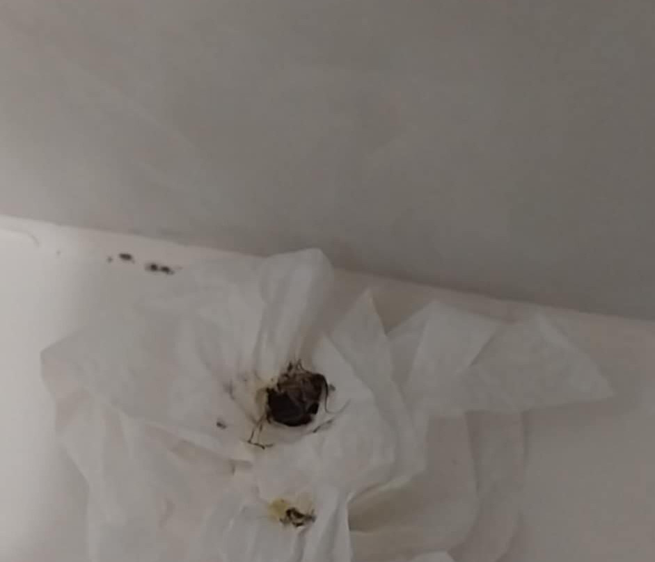 Quality Inn Conyers I-20主图