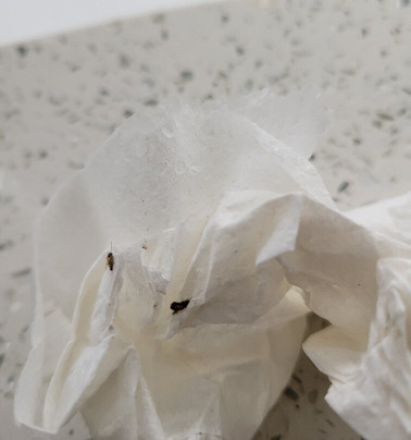 La Quinta Inn & Suites by Wyndham Knoxville East主图