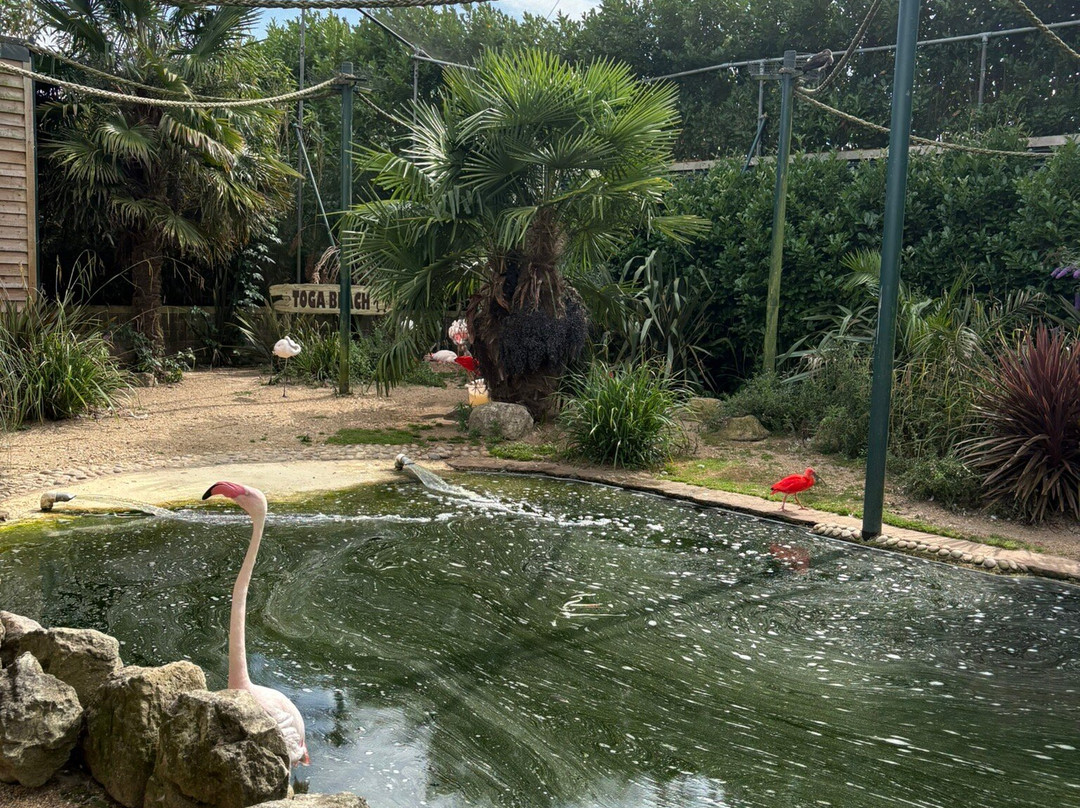 Amazon World Zoo Park-桑当必去景点