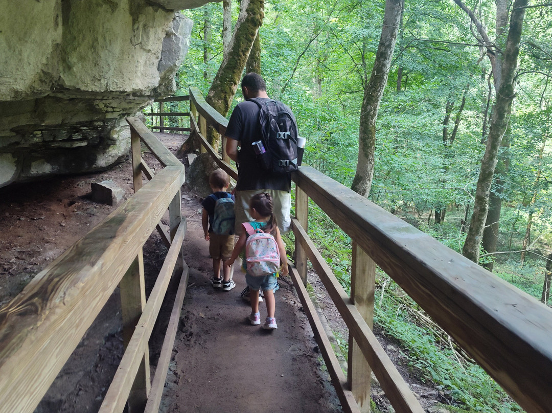 Cedar Sink Trail-猛玛洞窟国家公园必去景点