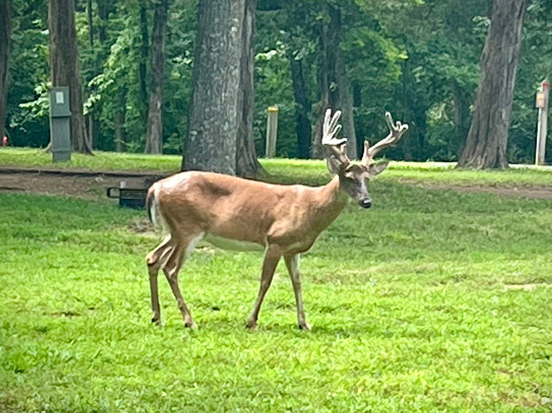 Lake of the Ozarks State Park-Kaiser必去景点