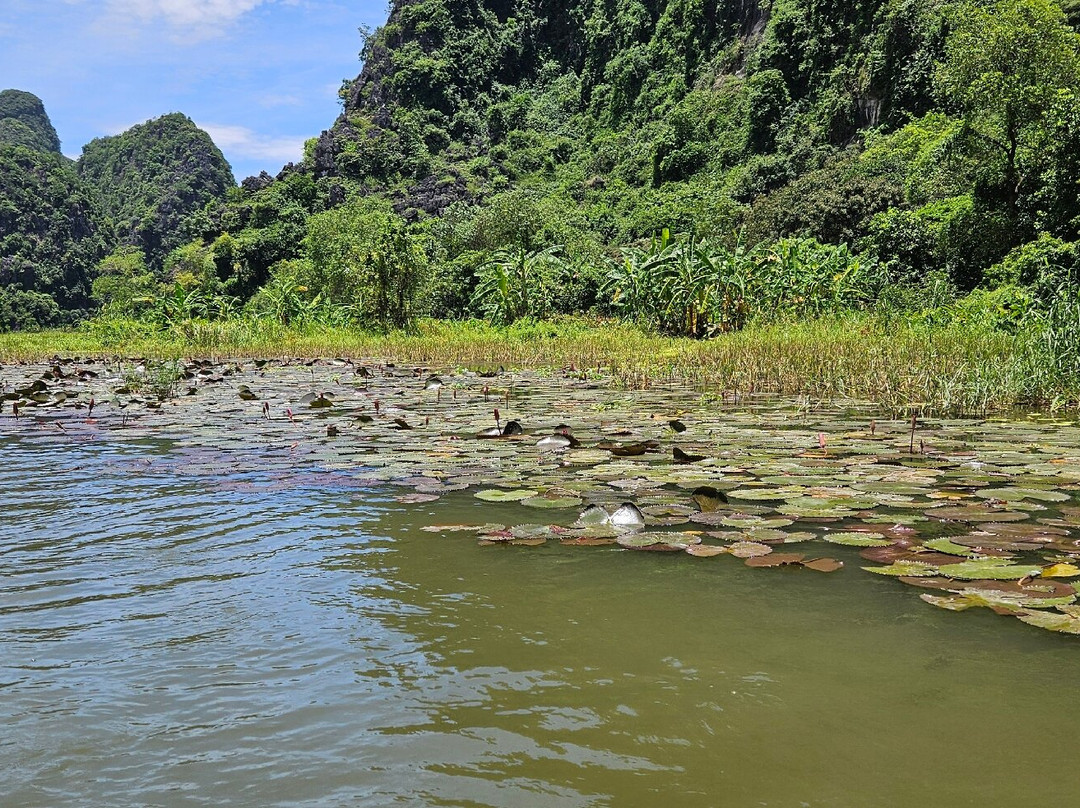 Tam Coc-Bich Đong-Ninh Hai必去景点