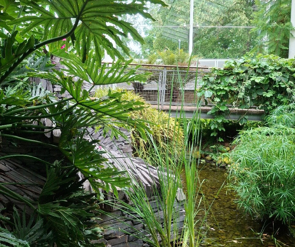 Jephsons Glasshouse-皇家利明顿温泉必去景点