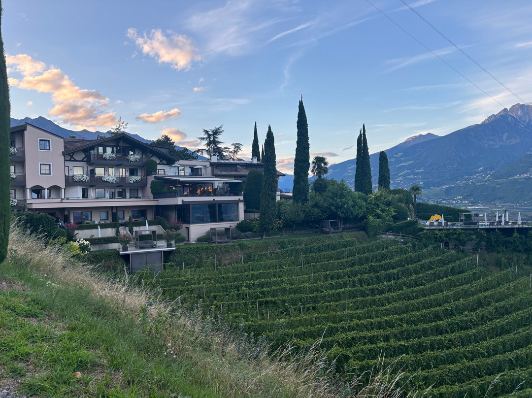 Das Grafenstein Familienresidence主图