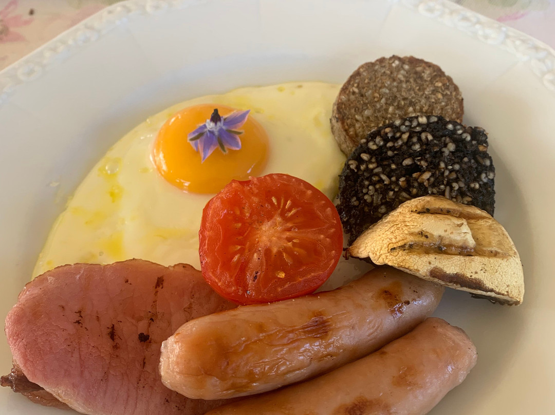 图拉里根住宿加早餐旅馆主图