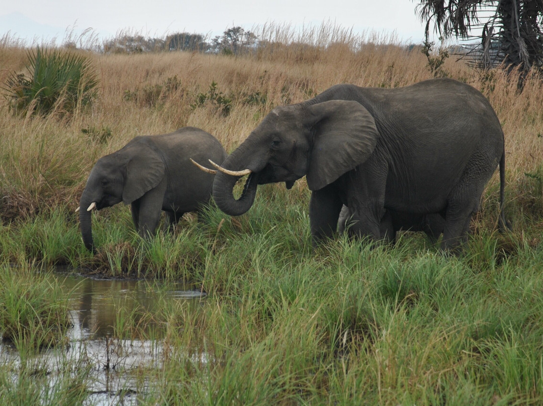 Mo Tours & Safaris-石头城必去景点