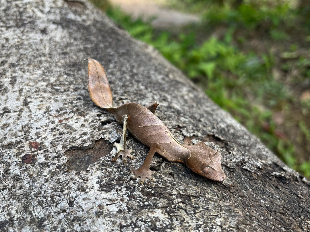 Jean Be Tours-安塔那那利佛必去景点