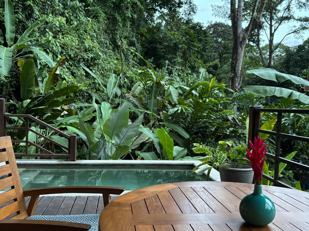 Playa Cativo Lodge主图