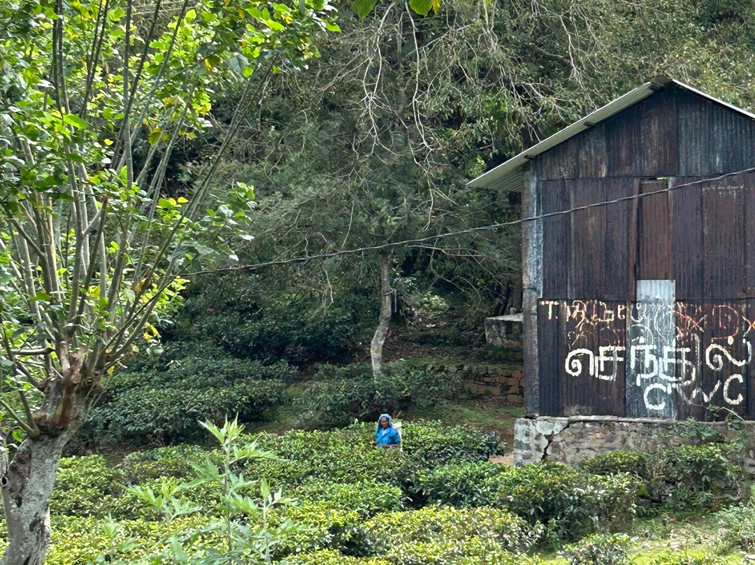 Fernando Tours Sri Lanka-Ja Ela必去景点