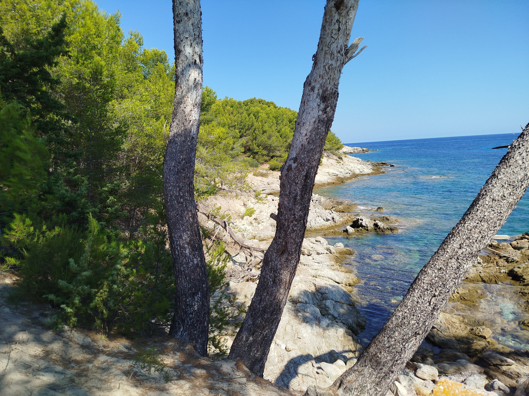 4x4 Agriates-Casta必去景点