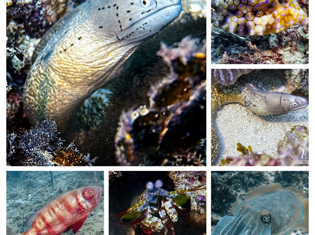 Scuba Duka-迪亚尼必去景点