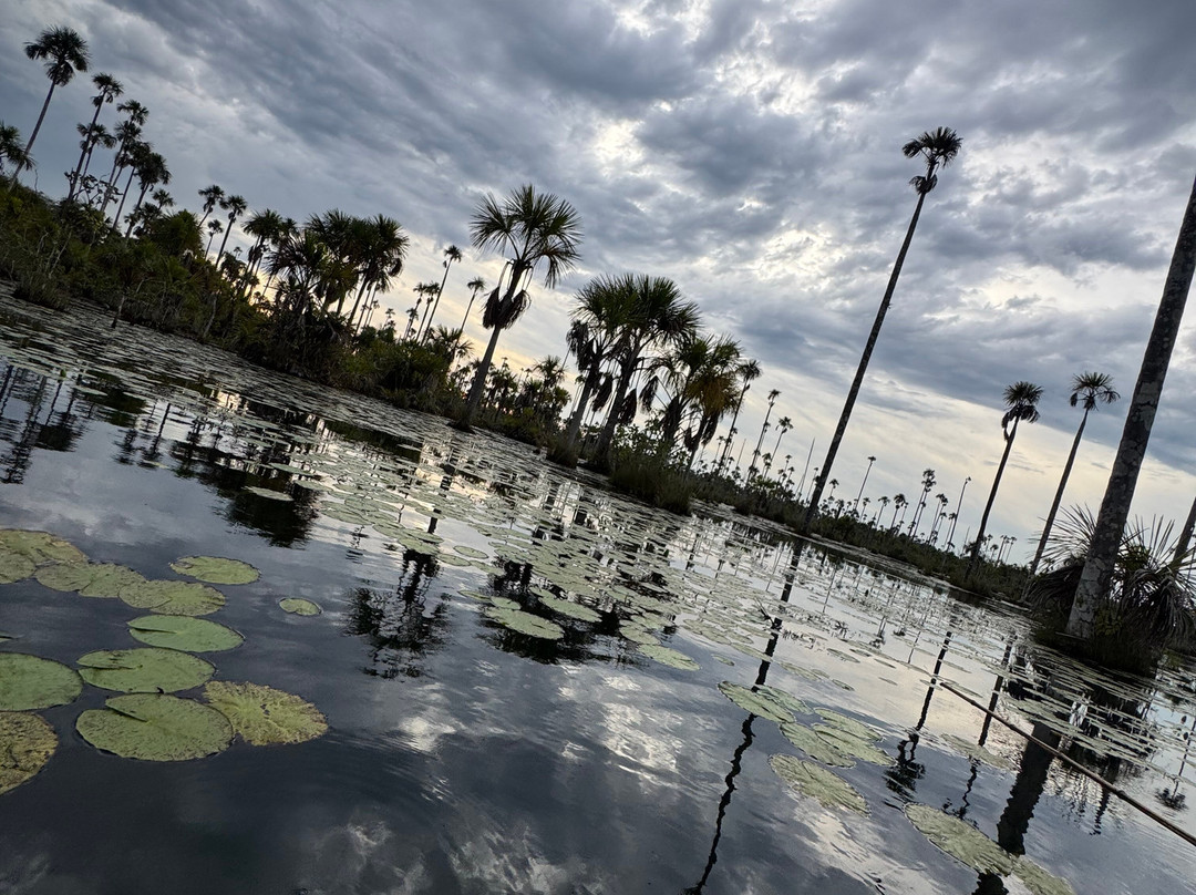 GREEN HOUSE TAMBOPATA-Filadelfia必去景点
