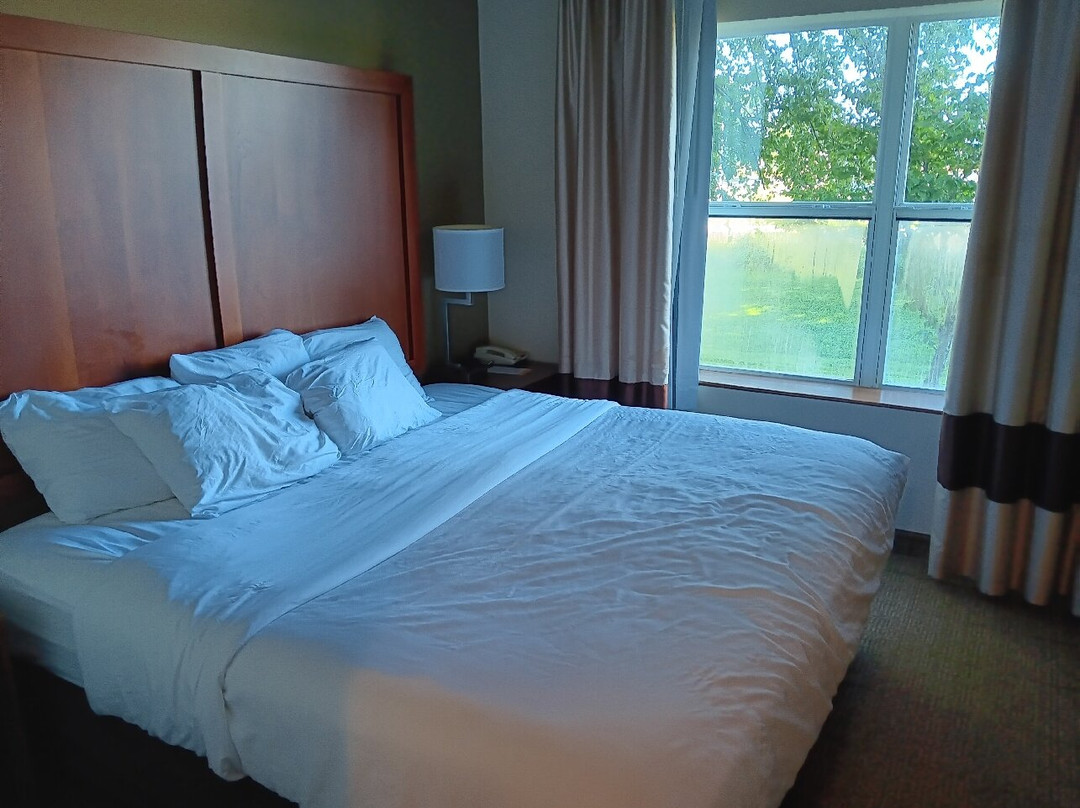 Comfort Inn & Suites Dover主图