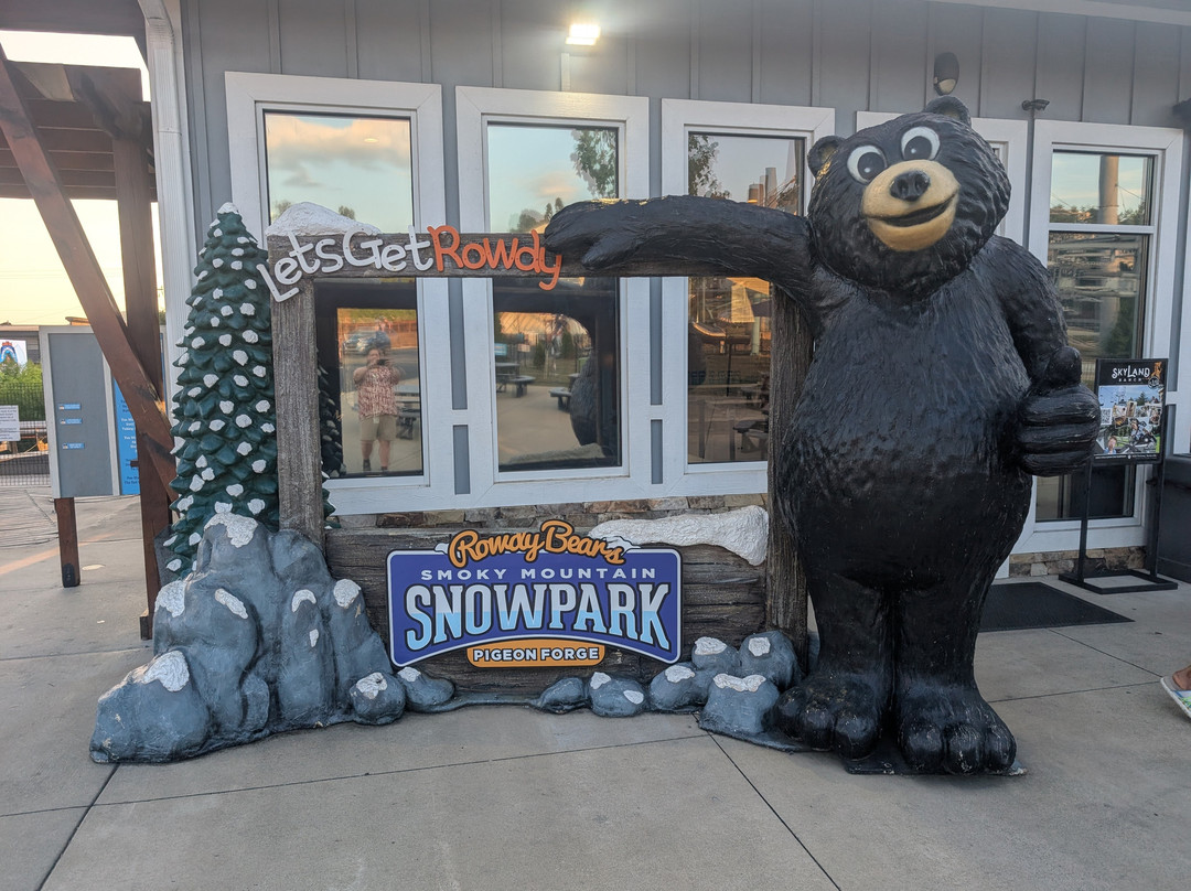 Rowdy Bear's Smoky Mountain Snowpark-皮金福奇必去景点