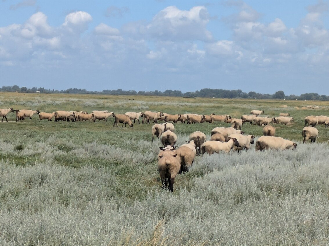 Rando-Nature en Somme-Saint-Valery-sur-Somme必去景点