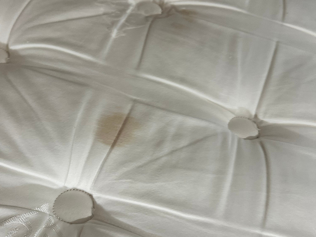 利文斯顿品质酒店主图