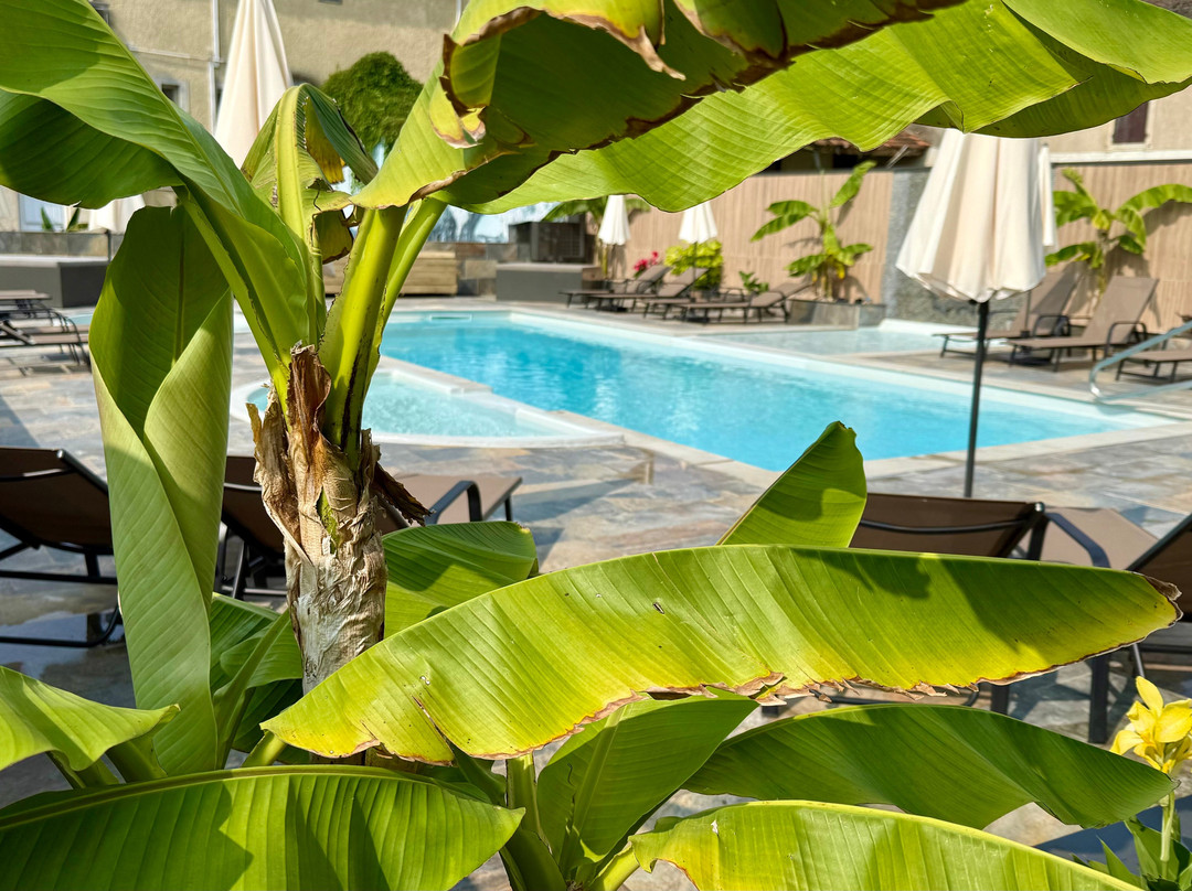 Logis Hôtel Bellevue主图