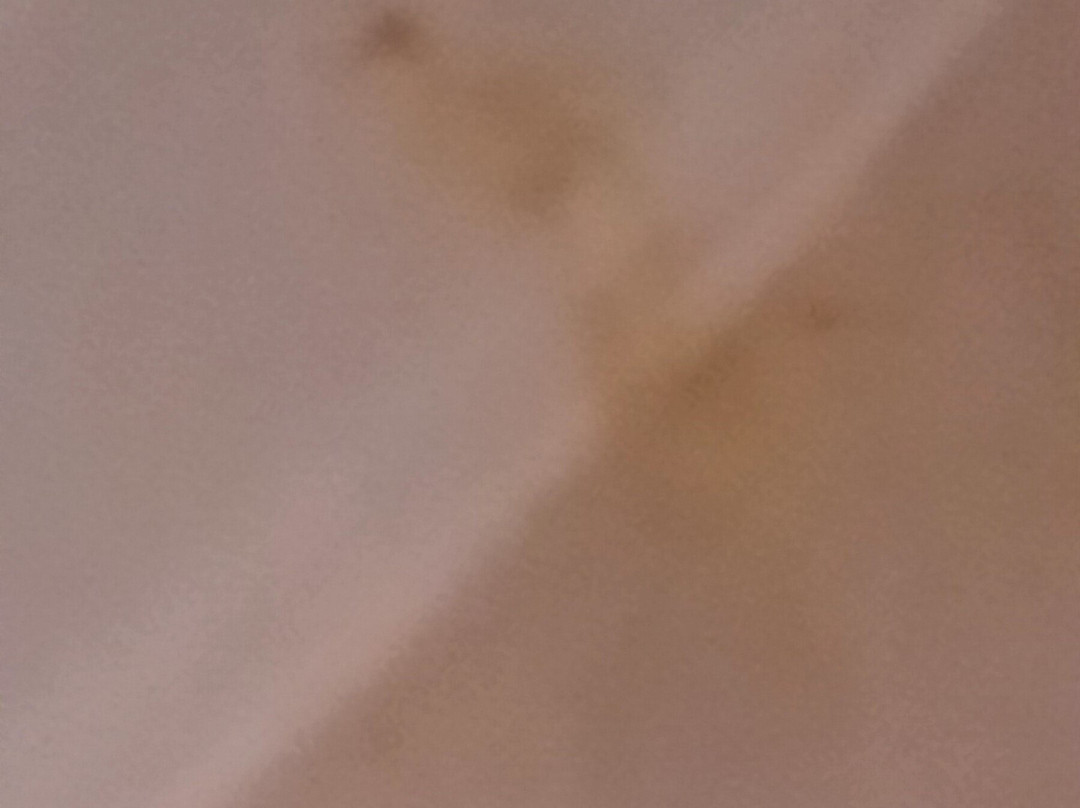 Holiday Inn St. Louis - Downtown Conv Ctr By IHG主图