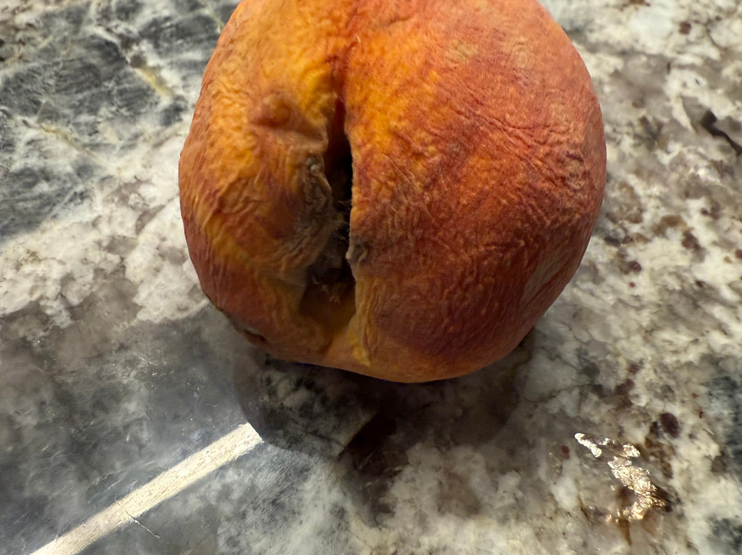 Dickey Farms-Musella必去景点