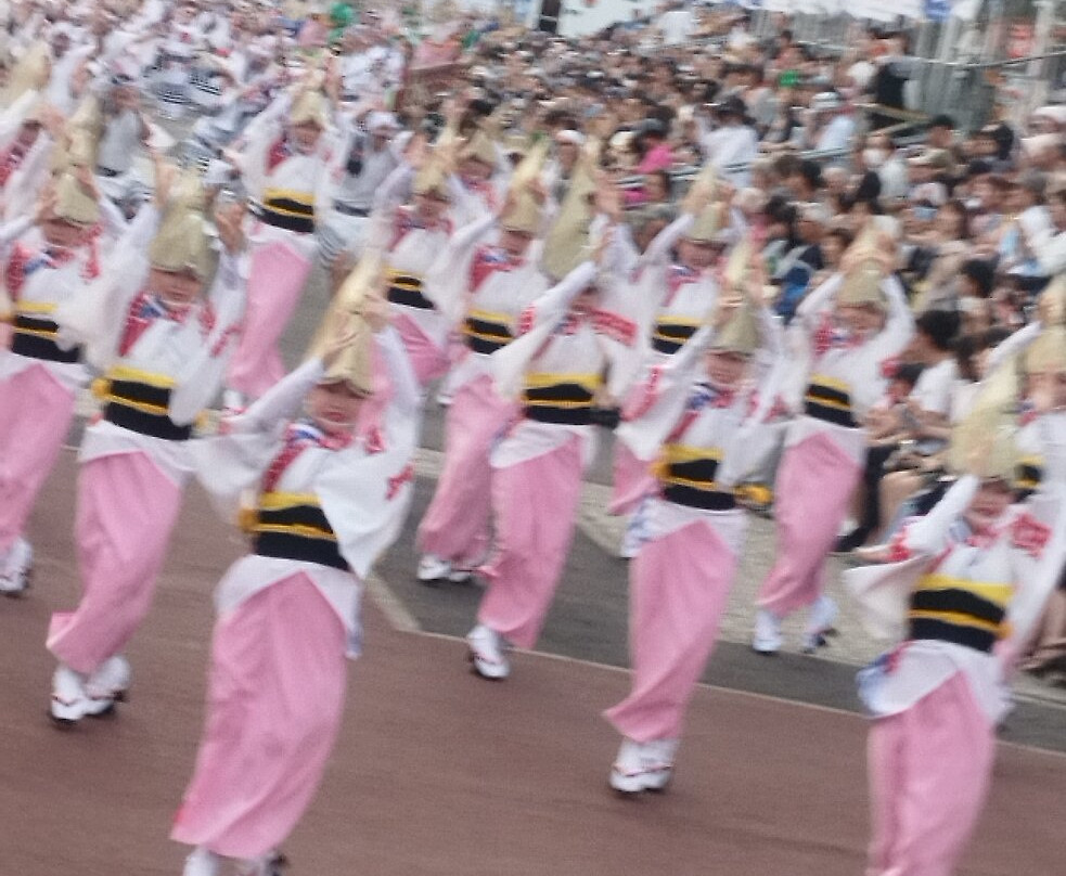 Awa Odori-德岛市必去景点