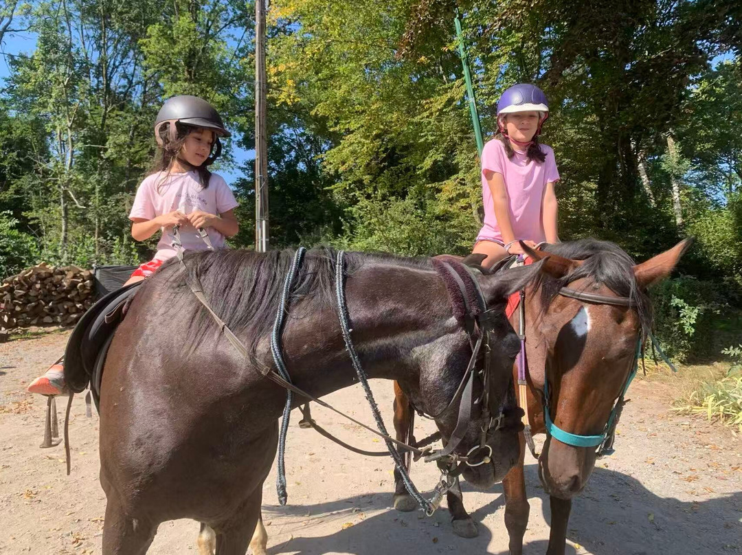 Ferme Equestre de la Croix Colas-Signy-le-Petit必去景点
