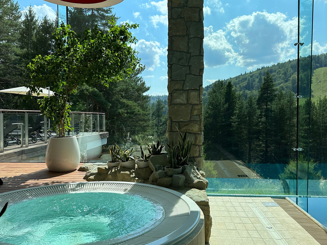 Hotel Spa Dr Irena Eris Krynica Zdrój 12+主图