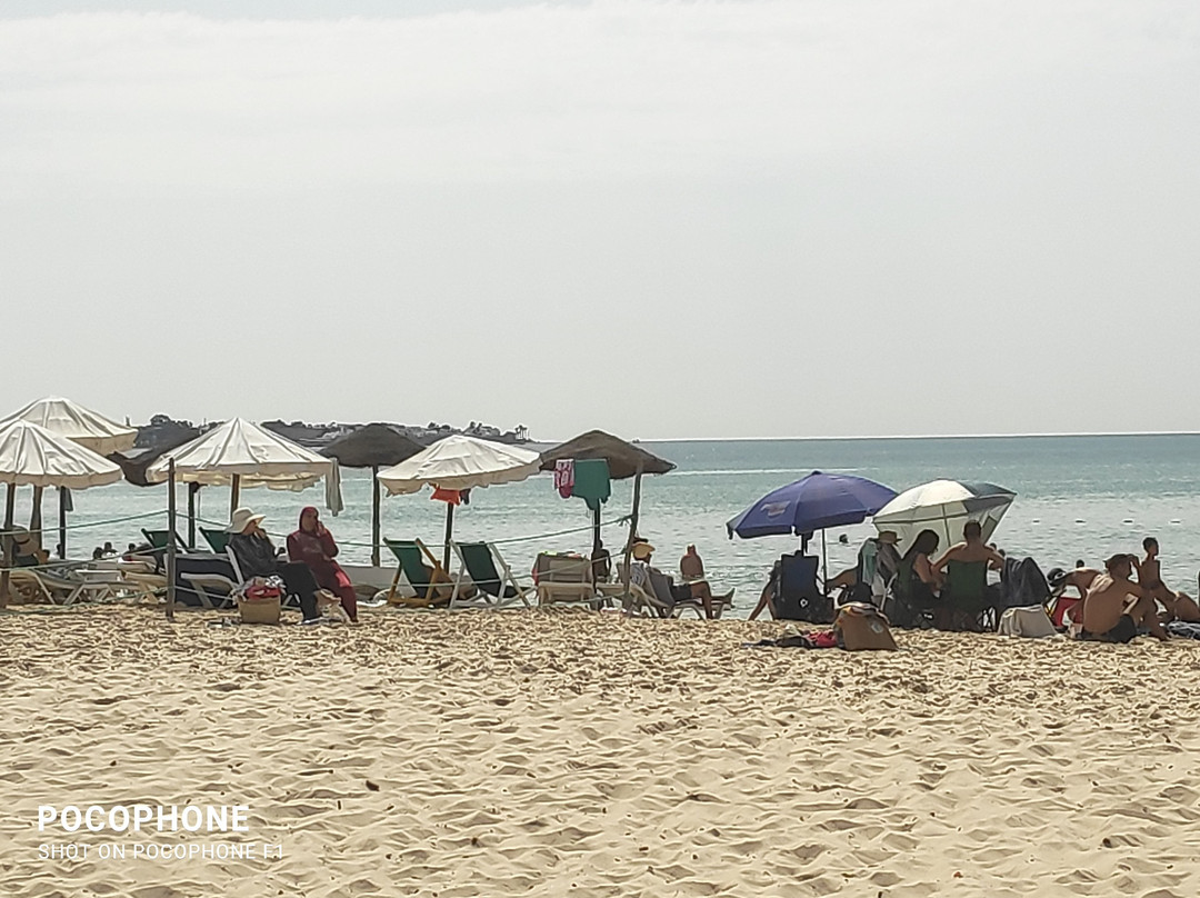 Hotel Les Citronniers主图