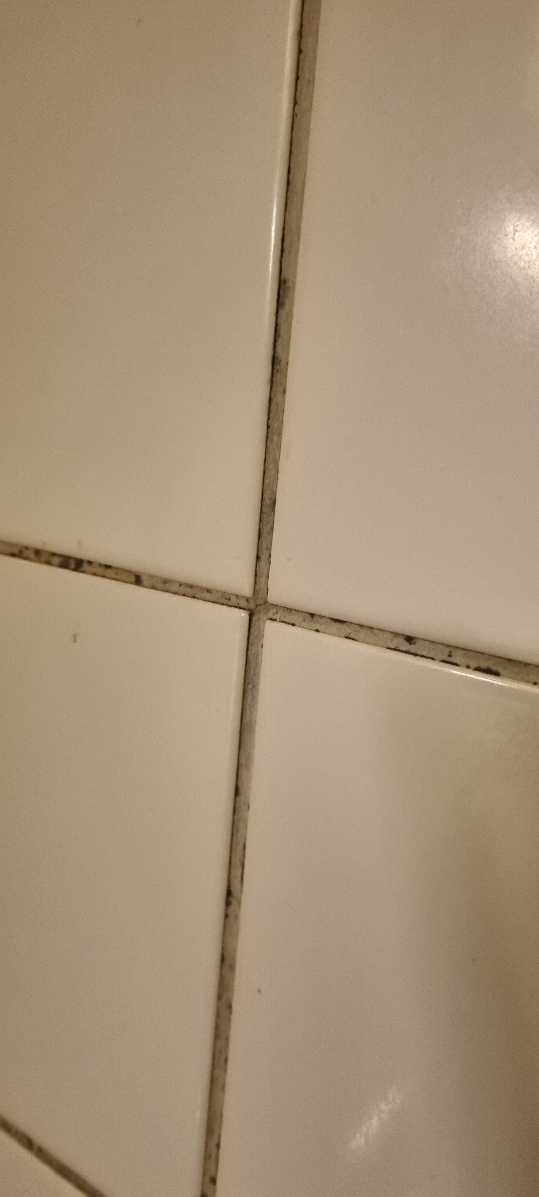 Hotell Dalsland-浴室