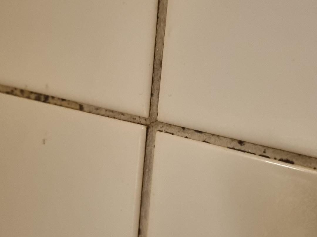 Hotell Dalsland主图