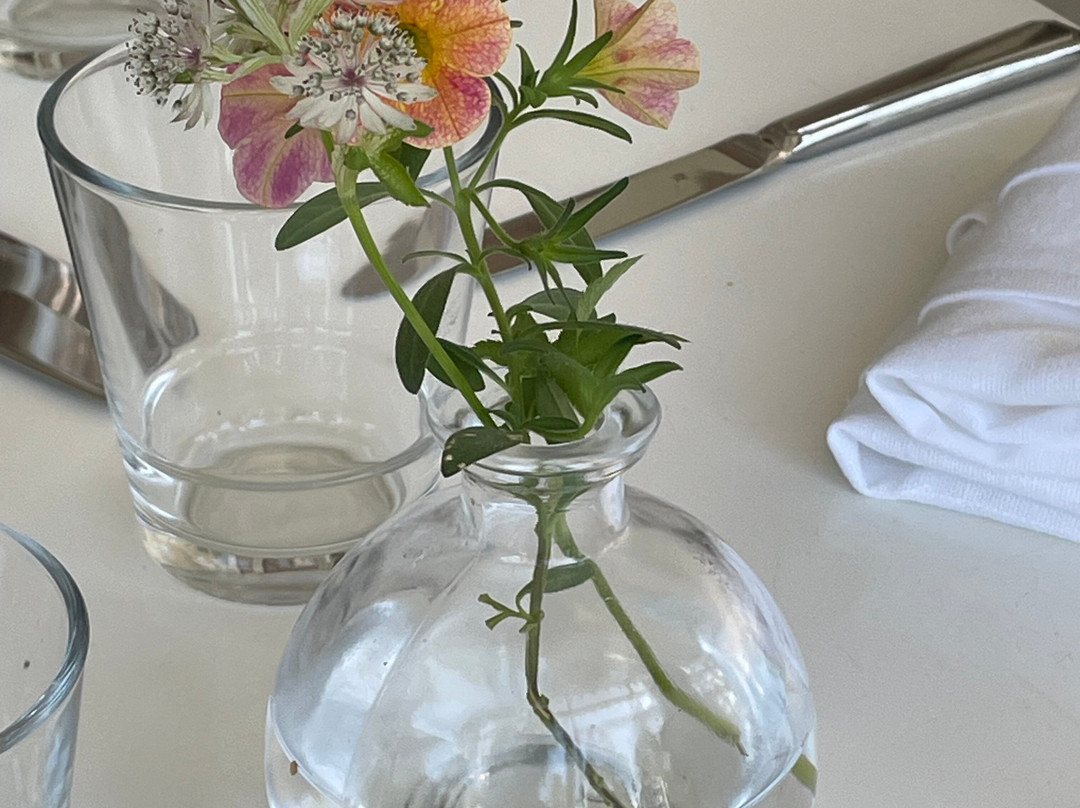 Hotelli Punkaharju主图