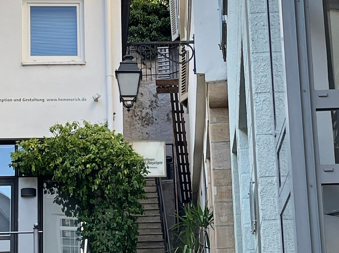 Domizil Tubingen主图