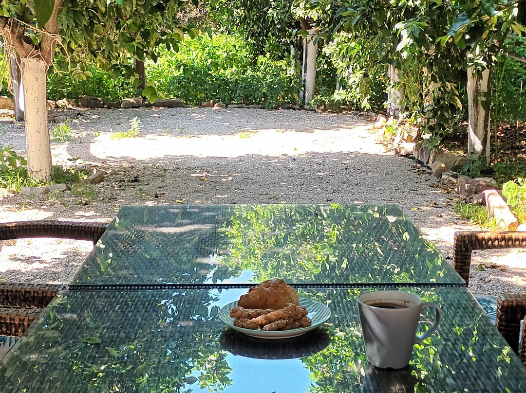 乌拉曼迪斯酒店主图