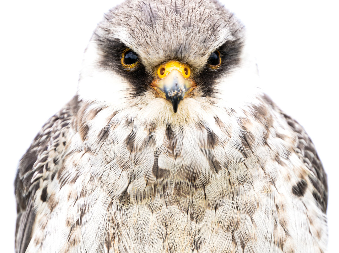 North Lanka Nature Trails-Kilinochchi必去景点