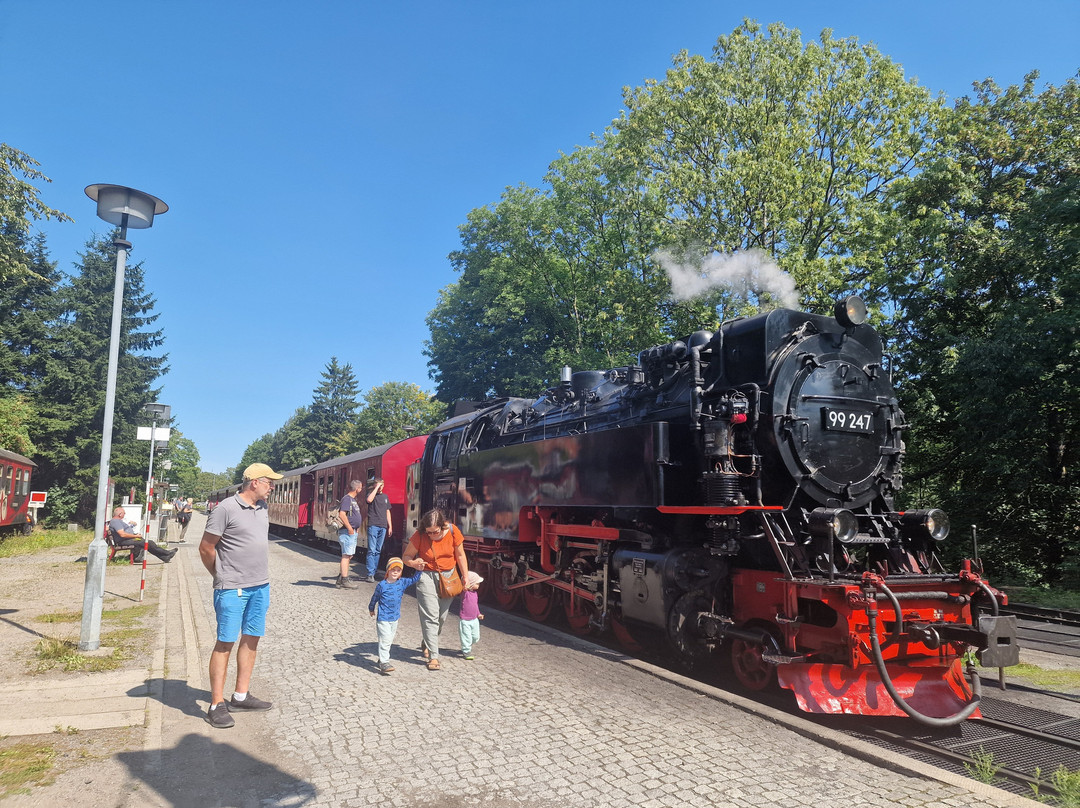 Carea Harz Hotel Allrode主图