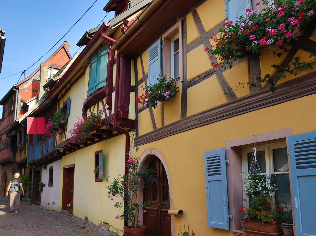 Vieille ville d'Eguisheim-艾古斯汉必去景点