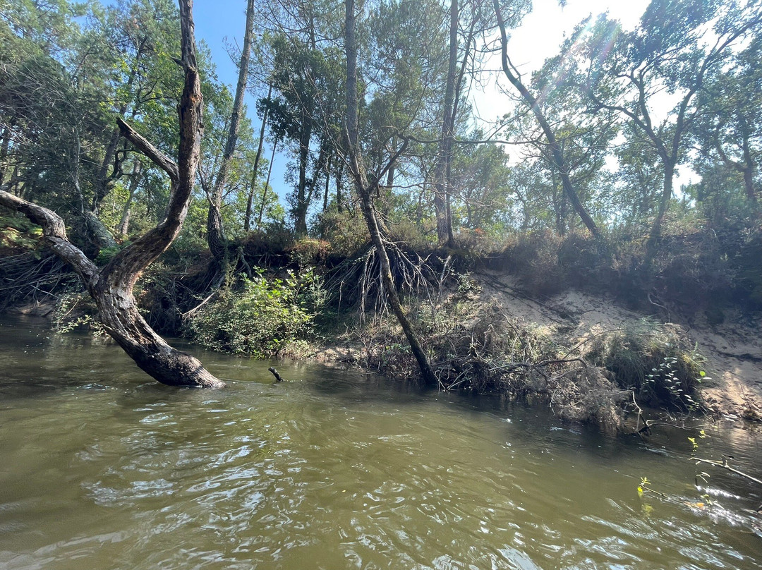 Les Bâteliers Du Courant D'huchet-Leon必去景点