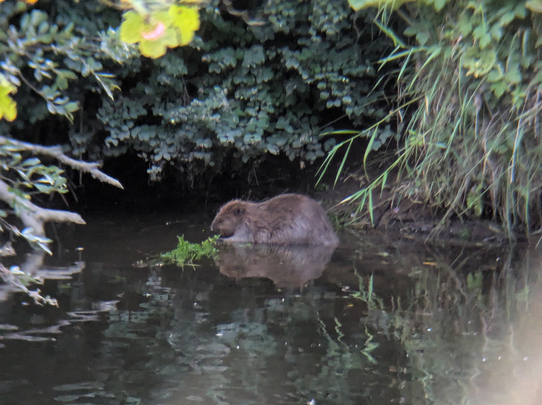 Perthshire Wildlife-Blairgowrie必去景点