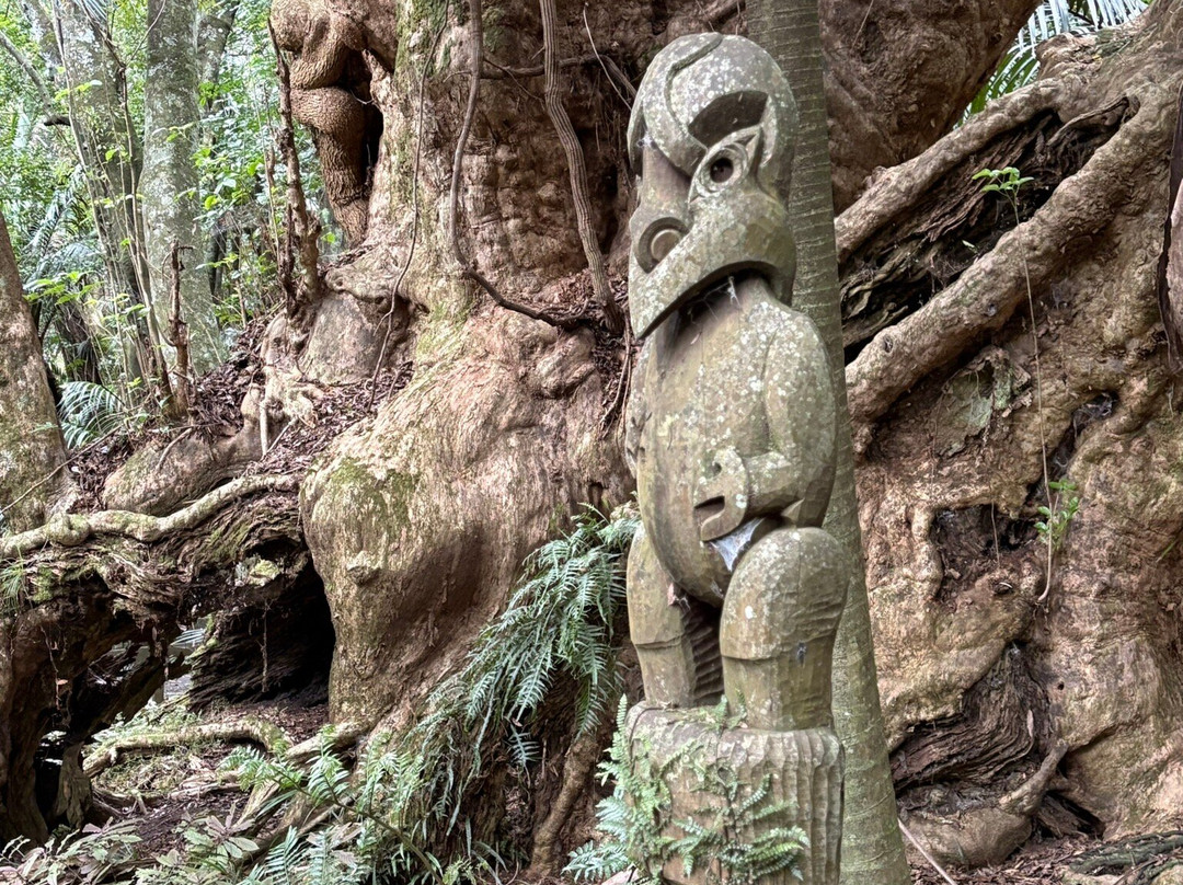 Hukutaia Domain-Opotiki必去景点