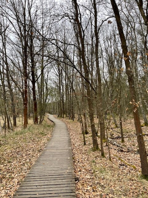 SOOS National Nature Reserve-弗提科维泉市必去景点