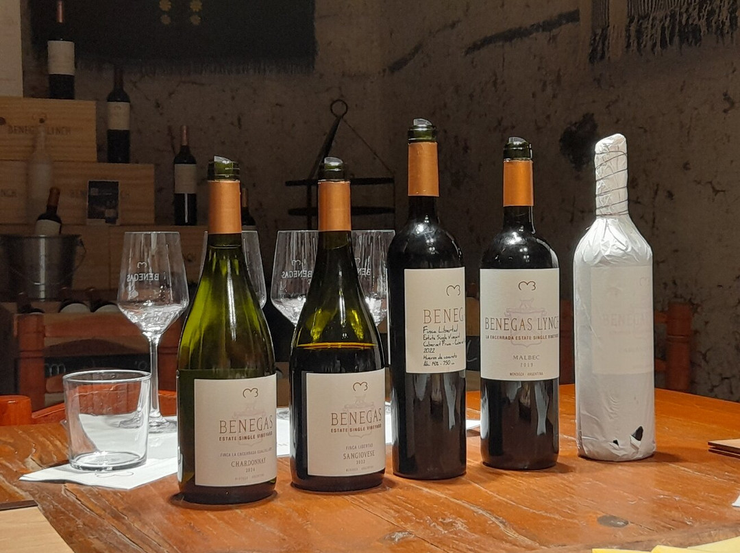 Bodega Benegas-路冉得库约必去景点