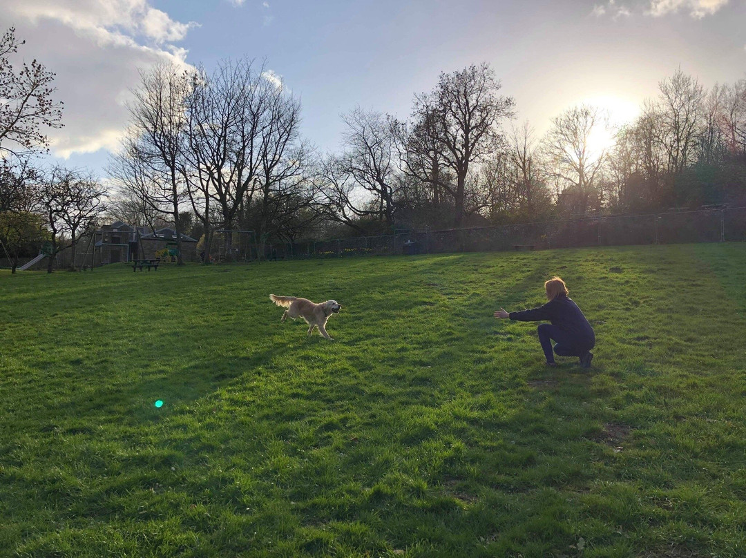 Almondell & Calderwood Country Park-Broxburn必去景点