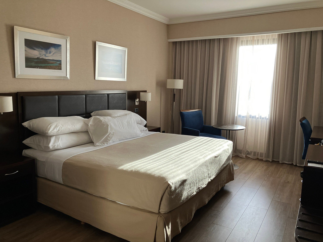 布宜诺斯艾利斯埃塞萨机场假日酒店主图