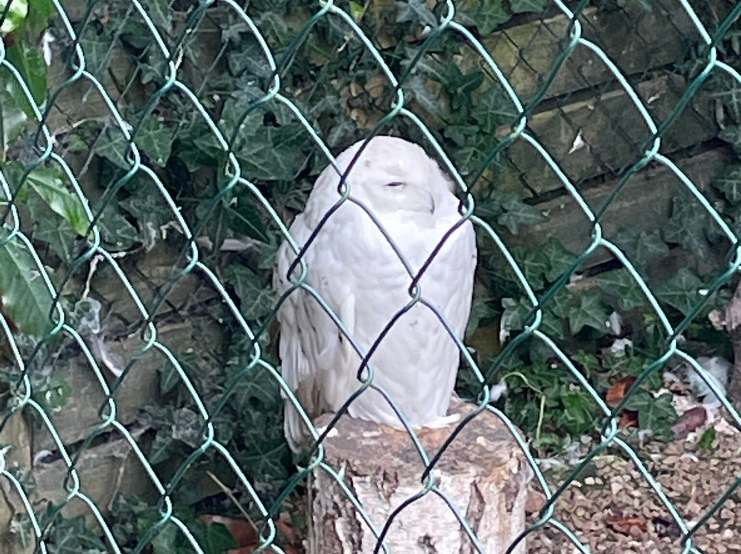 The Owls Trust-兰迪德诺必去景点