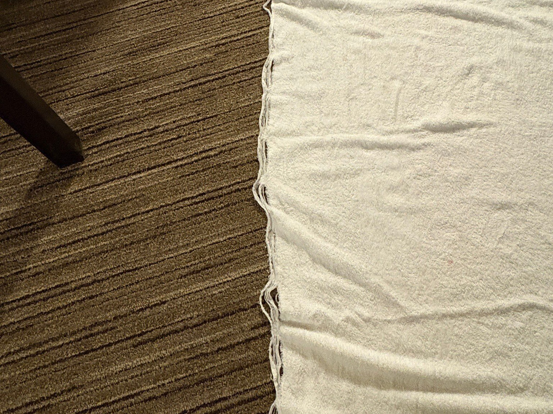 Holiday Inn Express & Suites Jackson by IHG主图