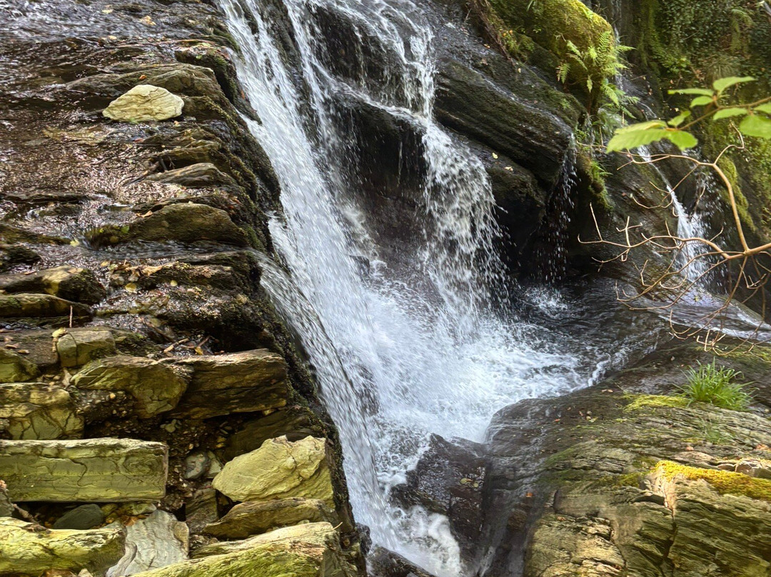 Dyfi Furnace-Machynlleth必去景点